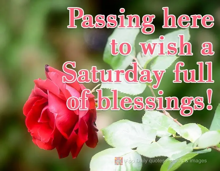 Passando aqui para desejar um Sábado de muitas bênçãos!
