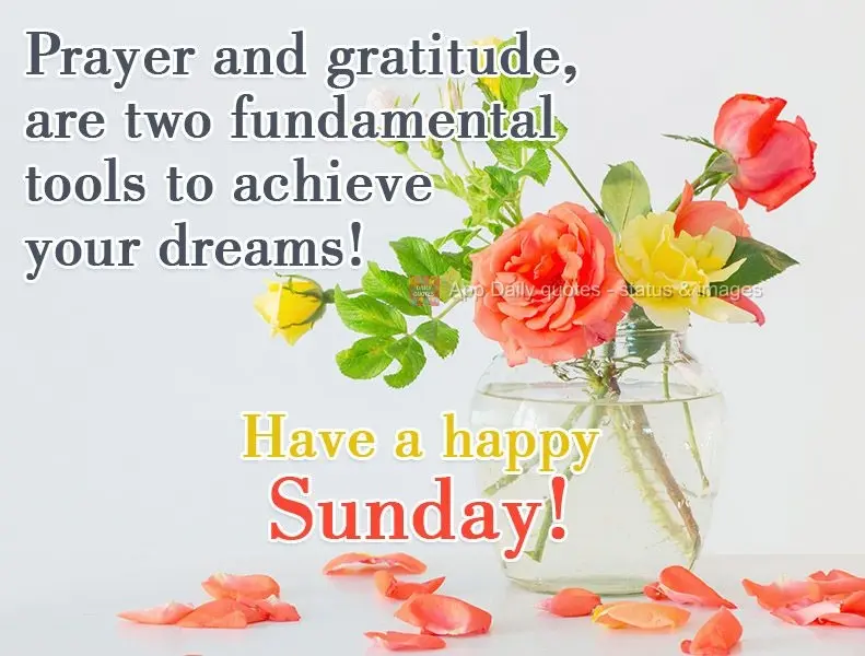 Prayer and gratitude are two fundamental tools to achieving your dreams! Have a happy Sunday!