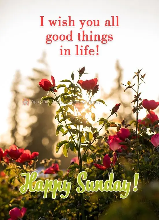 I wish you all the good things in life! Happy Sunday!