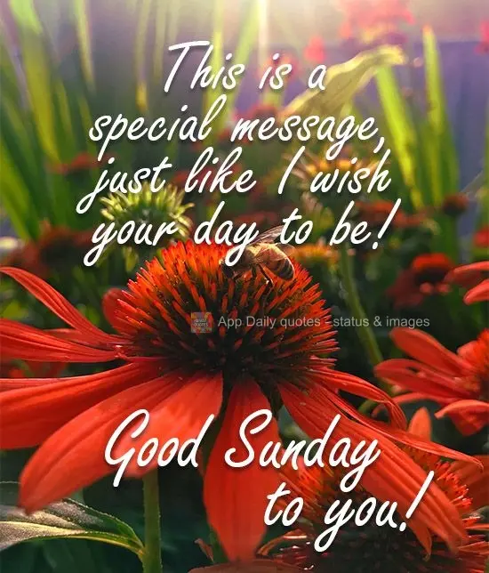 This is a special message, just like how I hope your day turns out! Happy Sunday to you!