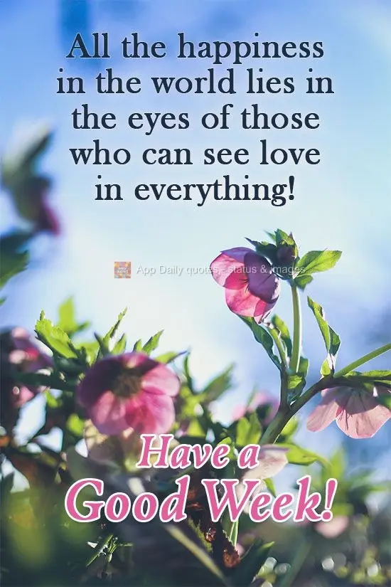 Toda a alegria do mundo reside nos olhos de quem consegue ver amor em tudo! 
 Tenha uma Boa Semana!