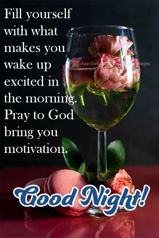 Fill yourself with what gets you excited to wake up in the morning. Pray to God to bring you motivation. Good Night!