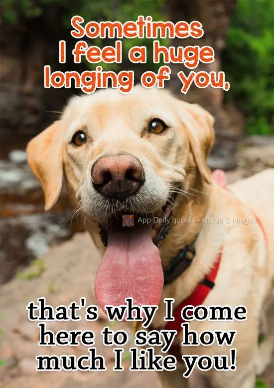 Sometimes I miss you so much. That's why I come here to say how much I like you!