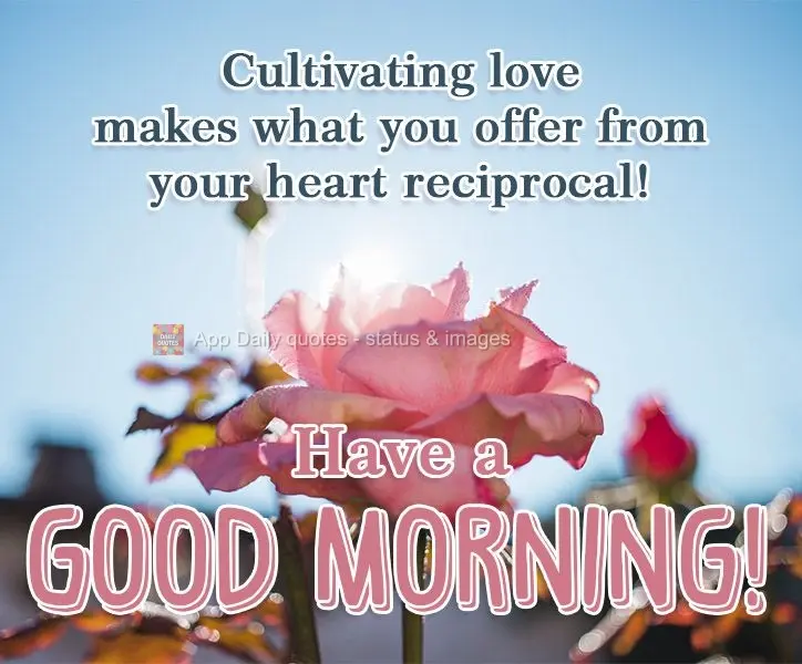Cultivar o amor torna recíproco aquilo que você oferece de coração!  Tenha um Bom Dia!