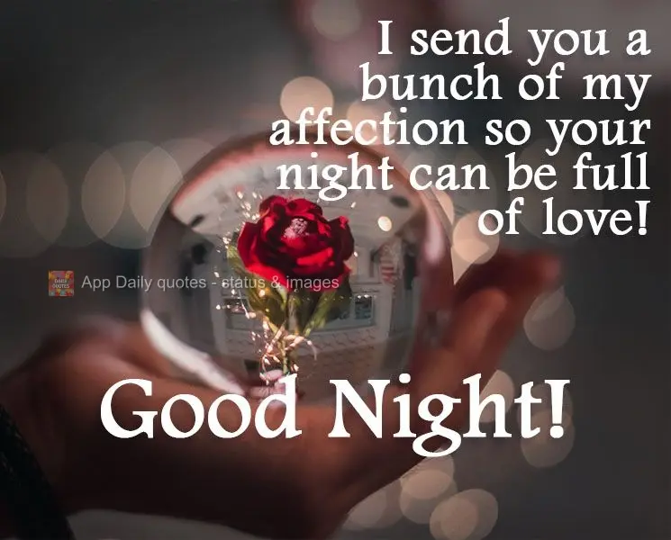 I send you a bunch of my love so your night can be full of tenderness! Good Night!