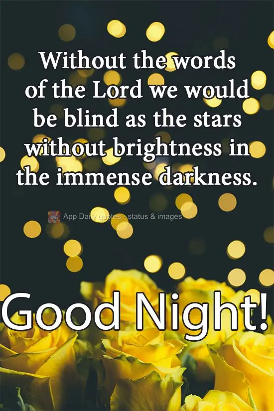 Without the words of the Lord we would be as blind. Like stars without light in the immense darkness. Good Night!
