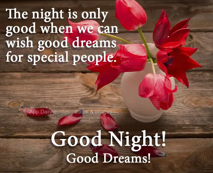 The night is only good when we can wish sweet dreams to special people. Good Night! Sweet Dreams!