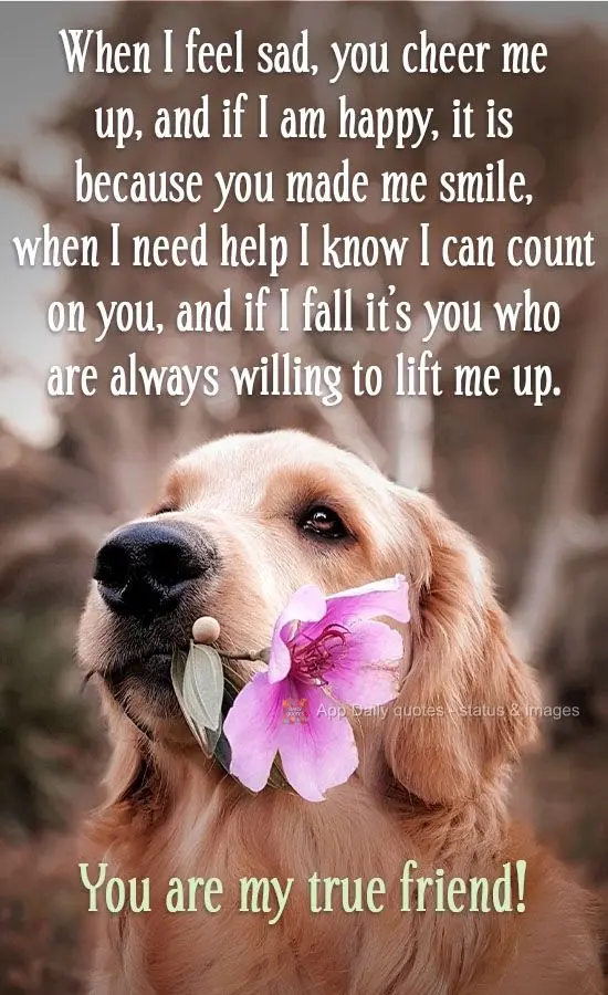 When I feel sad, you cheer me up, and if I am happy, it is because you made me smile. When I need help, I know I can count on you, and if I fall it's you...