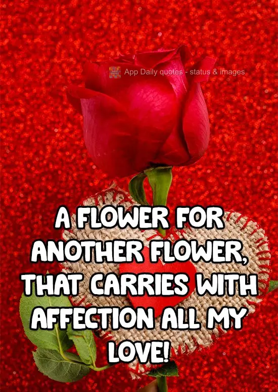 A flower for a flower, sending all my love, affectionately!