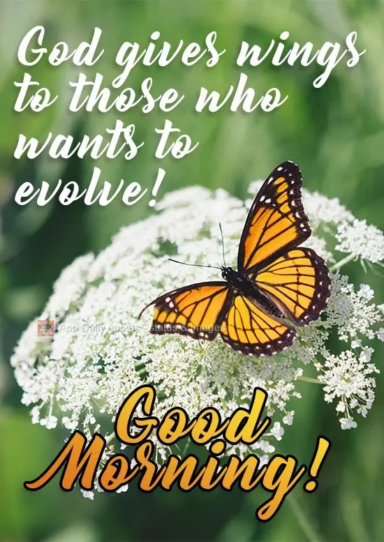 Deus dá asas a quem quer evoluir! 
 Bom Dia!