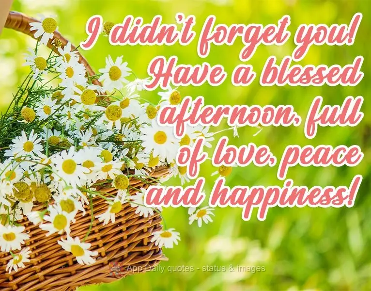 Não esqueci de você! Tenha uma tarde abençoada, cheia de amor, paz e felicidade!
