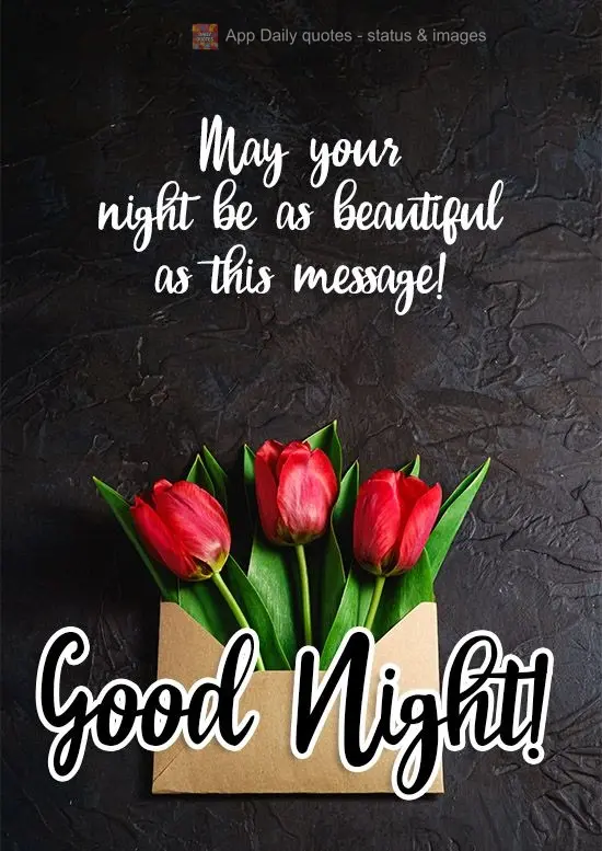 Que sua noite seja tão bonita quanto essa mensagem! Boa Noite!
