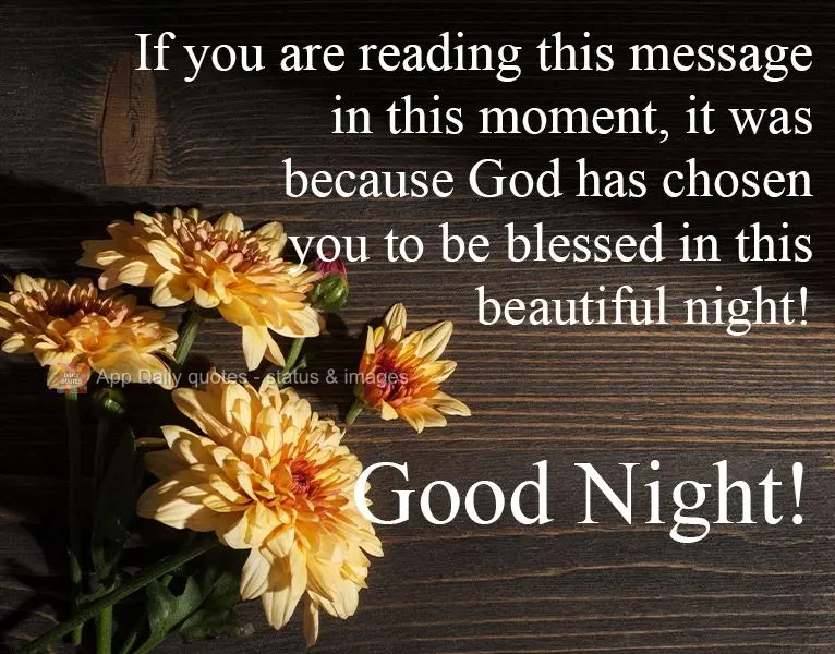 Se está lendo essa mensagem neste momento, foi porque Deus escolheu você para ser abençoado nesta linda noite! 
 Boa Noite!