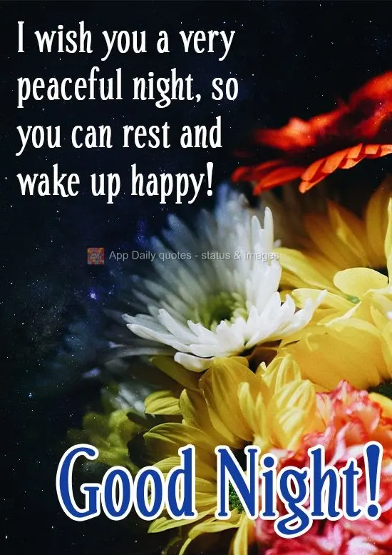 Te desejo uma noite de muita paz, para você descansar e acordar feliz!
  Boa Noite!