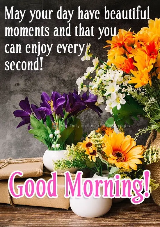 May your day have beautiful moments so that you can enjoy every second! Good Morning!
