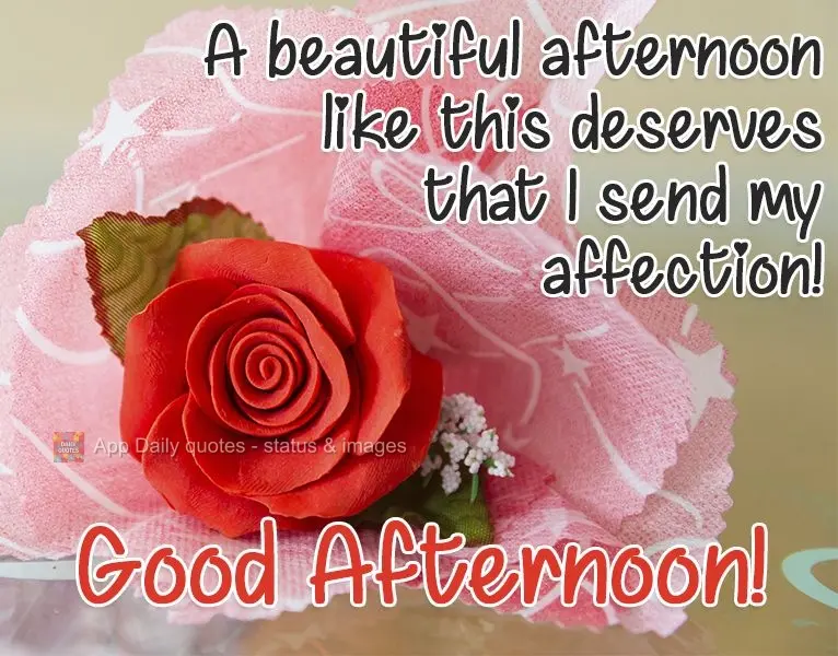 A beautiful afternoon like this deserves me sending you my love! Good Afternoon!