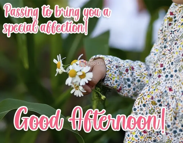 Passando pra te trazer um carinho especial! 
 Boa Tarde!