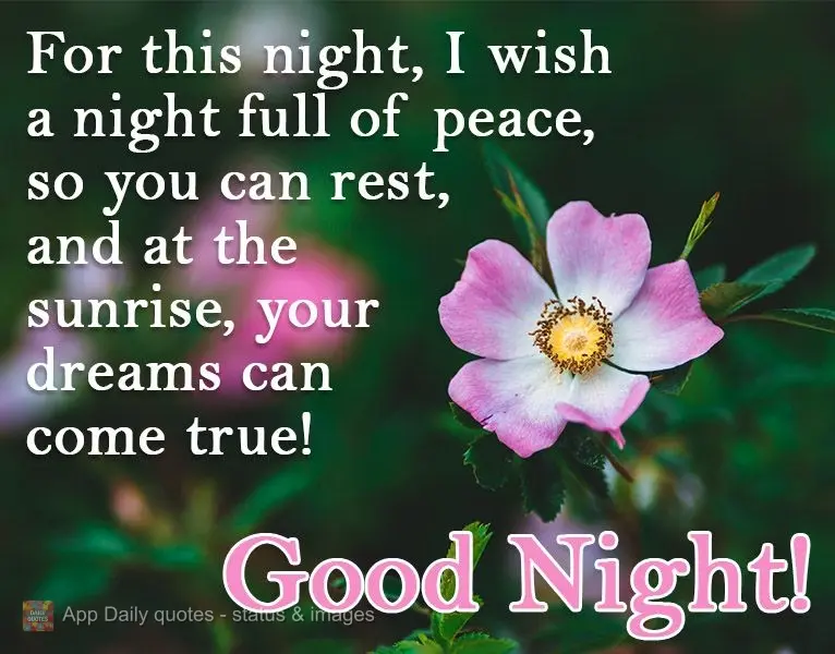 I wish you a night full of peace tonight, so you can rest, and at sunrise, your dreams can come true! Good Night!