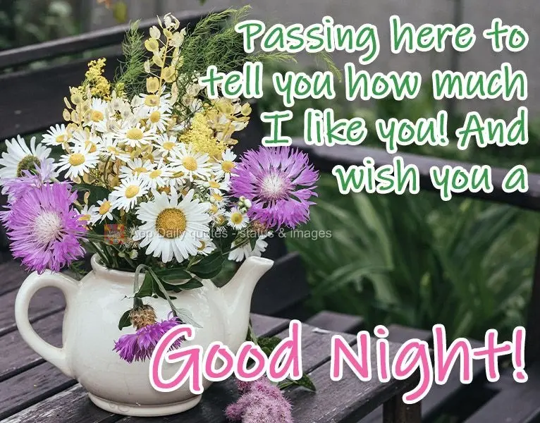 Passing by here to tell you how much I like you! And wish you a good night!