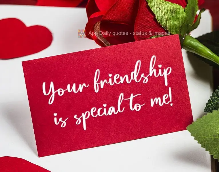 Sua amizade para mim é especial!
