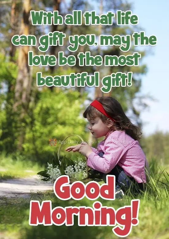 Com tudo que a vida venha lhe presentear, que o amor seja o presente mais belo!
  Bom Dia!