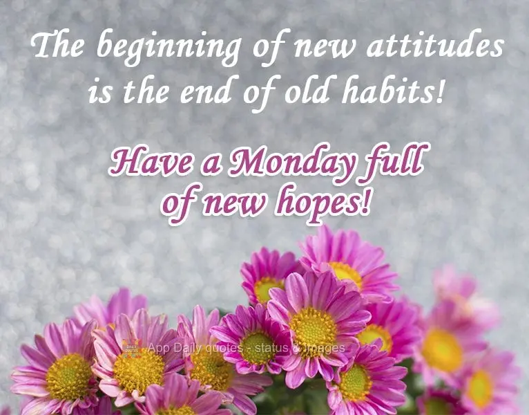 The beginning of new attitudes is the end of old habits! Have a Monday full of new hopes!
