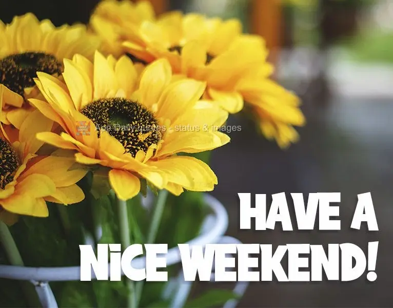 Have a nice weekend!