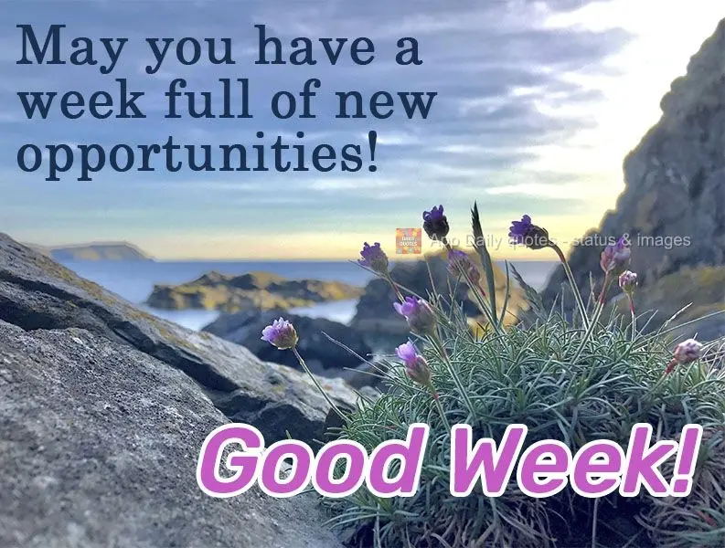 Tenha uma semana cheia de novas oportunidades!  Boa Semana!