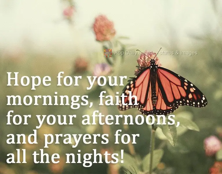 Para tuas manhãs, esperança; para as tardes, fé; para todas as noites, oração!
