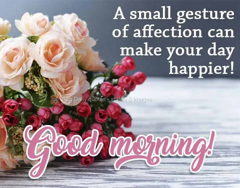 Um pequeno gesto de carinho pode fazer o seu dia mais alegre! 
 Bom dia!