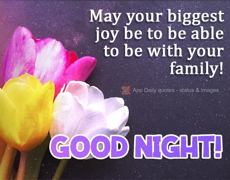 Que tua maior alegria seja poder estar com sua família! 
 Boa Noite!