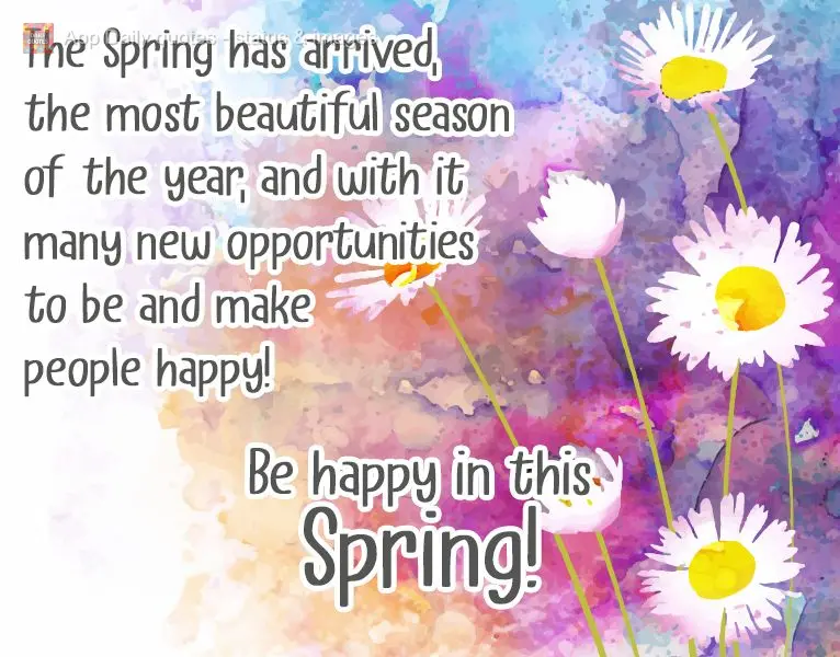Chegou a primavera, a época mais linda do ano, e com ela muitas novas oportunidades de ser e fazer pessoas felizes!  Seja Feliz nesta Primavera!