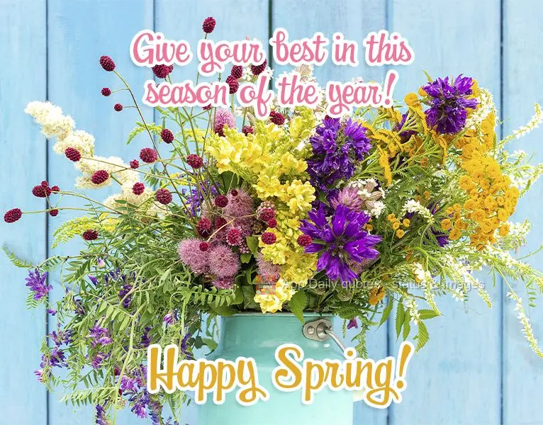 Dê o melhor de si nesta época do ano!  Feliz Primavera!