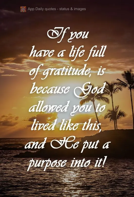 If you have a life full of gratitude, it is because God allowed you to lived like this, and He gave you purpose!
