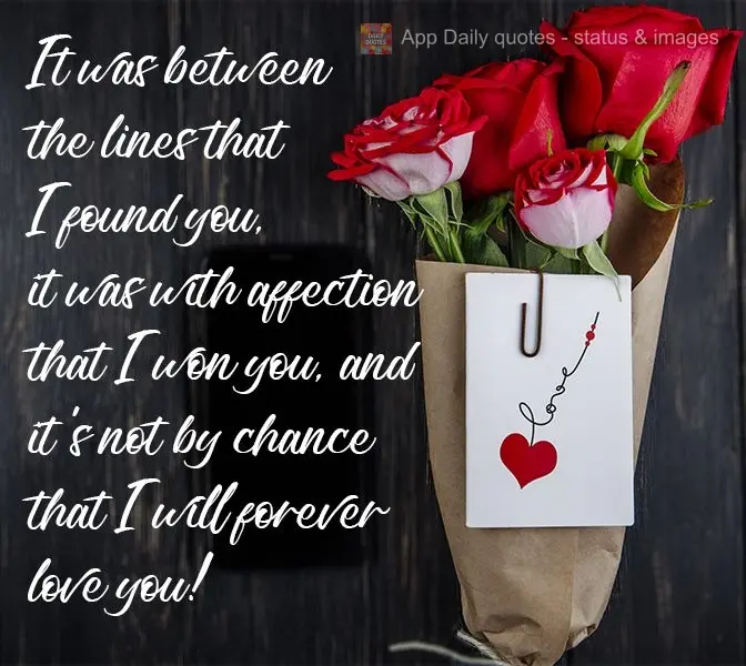 Foi nas entrelinhas que te encontrei, foi com carinho que te ganhei, e não é por acaso que para sempre te amarei!
