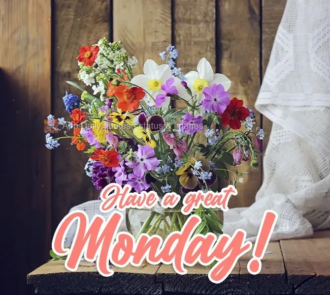 Tenha uma ótima Segunda-feira!
