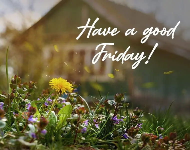 Have a good Friday!