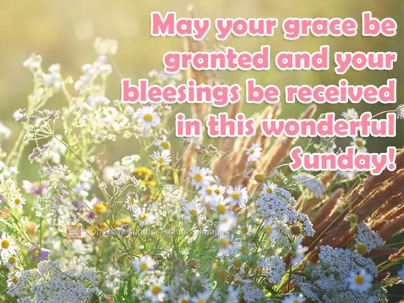May your grace be granted and your blessings be received this wonderful Sunday!