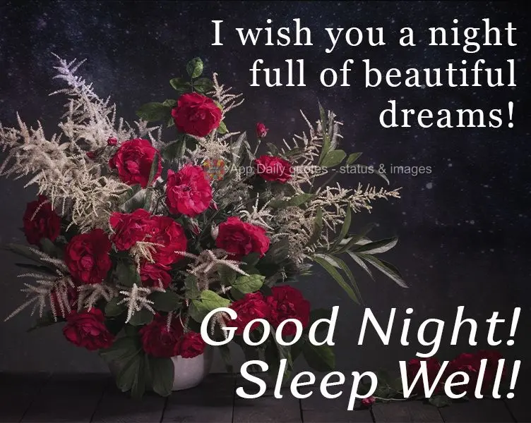 Desejo a você uma noite de lindos sonhos!
  Boa noite! Durma bem!