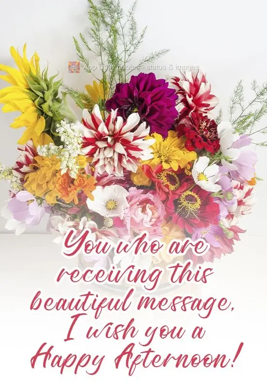 Pra você que está recebendo essa linda mensagem, desejo uma Feliz Tarde!
