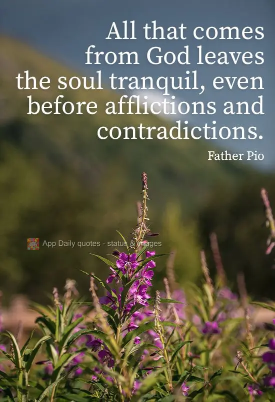 Tudo que vem de Deus deixa a alma tranquila, mesmo diante de aflições e contradições. 
 Padre pio