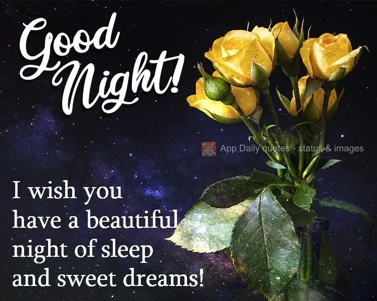 I hope you have a beautiful night of sleep and sweet dreams! Good night!
