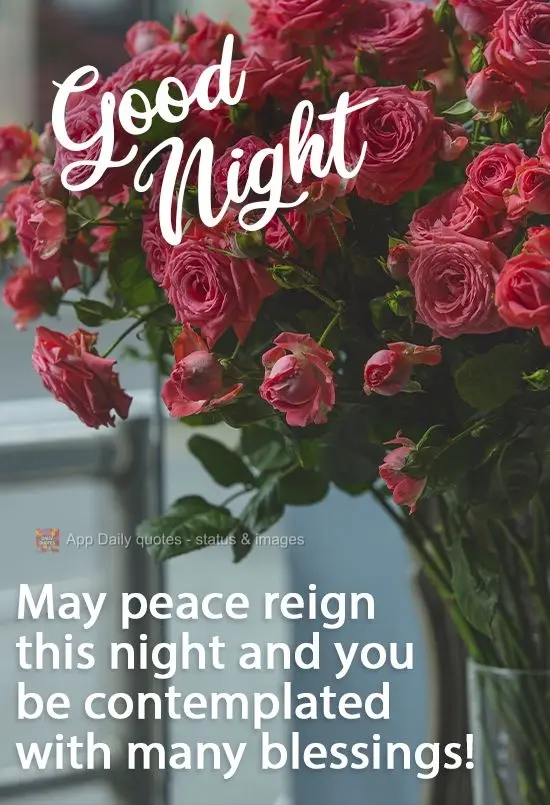 Que a paz reine nesta noite e você seja contemplado com muitas bênçãos! 
 Boa noite!