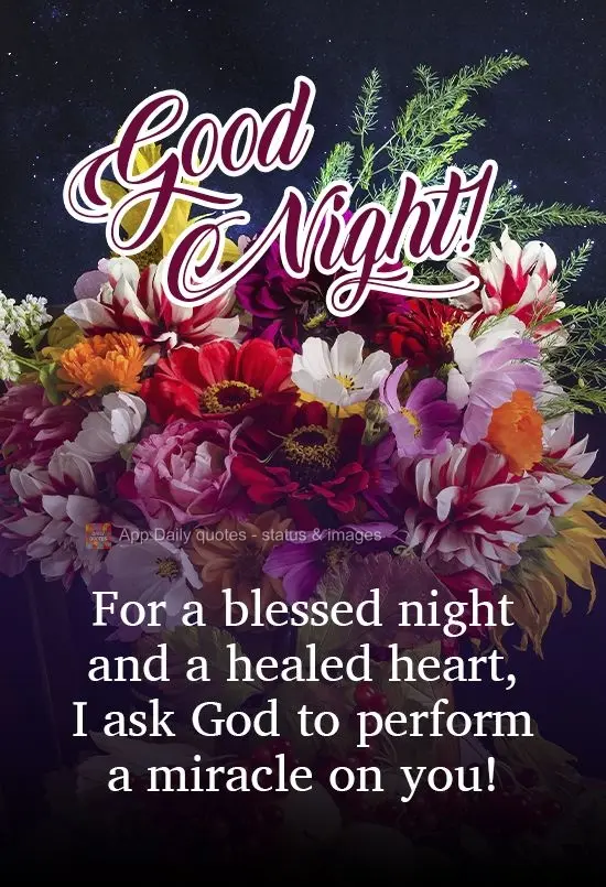 Por uma noite abençoada e um coração curado, peço que Deus faça um milagre em ti!  Boa noite!
