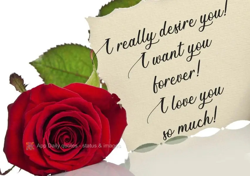 I desire you so much! I want you forever! I love you so much! 
