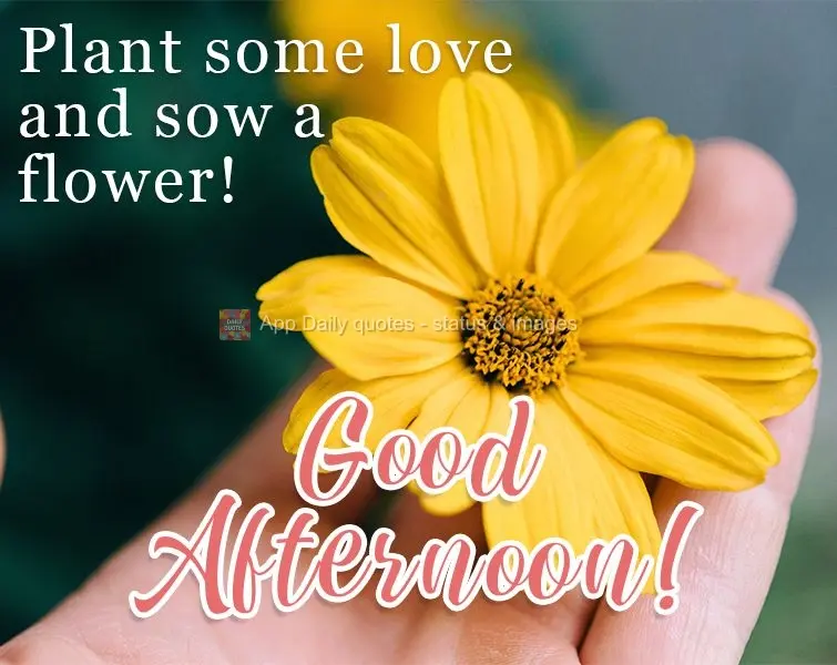 Plant some love and pick a flower!  Good afternoon! 