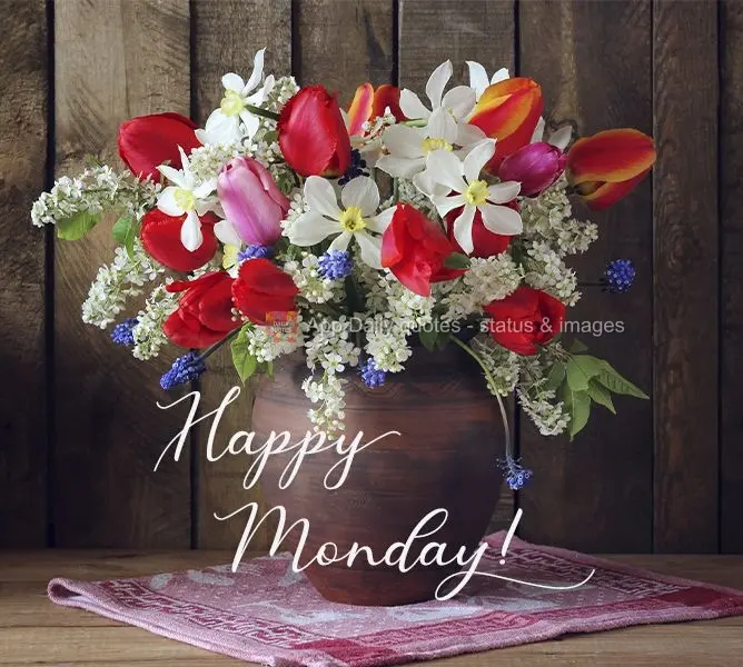 Feliz Segunda-feira! 

