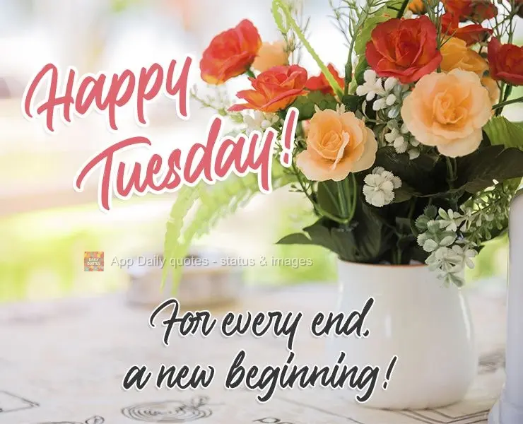 Para todo fim, um novo começo!  Feliz  Terça-feira!