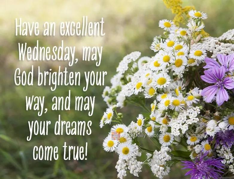 Tenha uma excelente Quarta-feira. Que Deus ilumine seu caminho e que teus sonhos sejam realizados!
