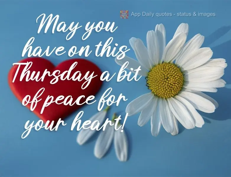 Que nesta Quinta-feira você tenha um pouco de paz para o seu coração! 
